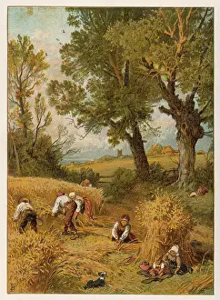 Reaping: HARVESTING BY HAND