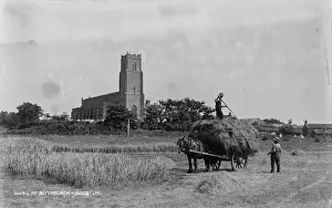 Harvesting: Harvesting Hay at Blythburgh