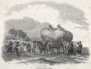 Haul: HARVESTING HAY, DUNCAN