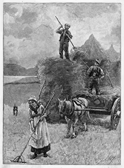 Haystacks: HARVESTING HAY, MULL