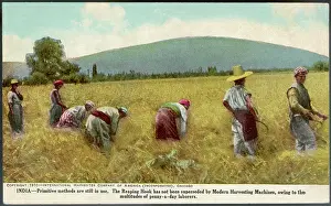 Superseded: HARVESTING IN INDIA - 1