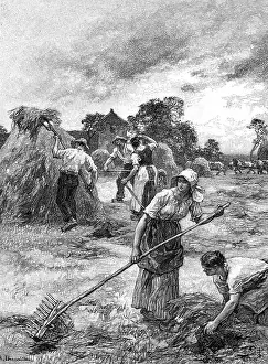 Advantage: HARVESTING (LHERMITTE)