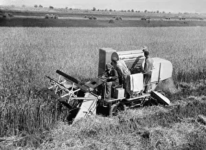 Velen: Harvesting machine