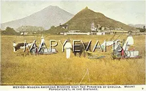 Binders: HARVESTING IN MEXICO