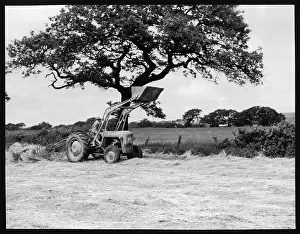Loader: HARVESTING/MILL LOADER