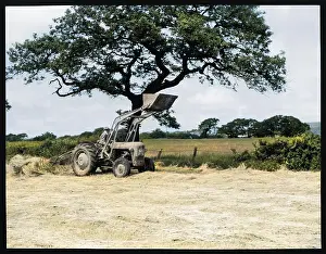 Loader: HARVESTING/MILL LOADER