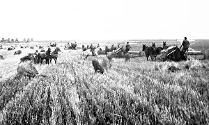 Prairies: Harvesting on the Prairies, Canada