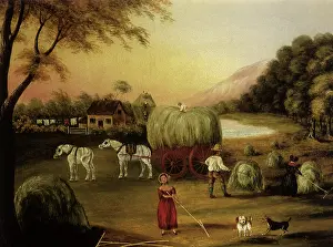 Piled: Harvesting Scene