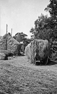 Oast: Harvesting scene with laden cart