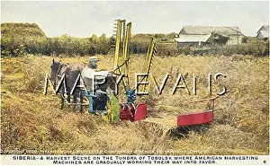 Tundra: HARVESTING IN SIBERIA