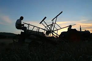 Chevis: Harvesting on the South Downs