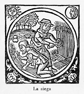 1511: Harvesting, Spain 1511