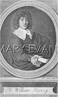 Gucht: HARVEY/VAN DER GUCHT