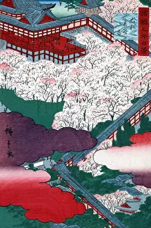 Karma: Hasedera Temple Cherry Blossoms, 1859