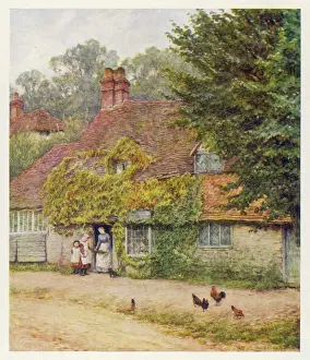 Fishmonger: HASLEMERE/FISH SHOP 1903