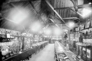 Haslemere: Haslemere, the Museum 1899