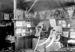 Haslemere: Haslemere, the Museum 1899