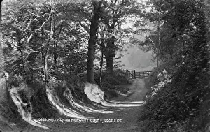 Pathway: Hastings in Fairlight Glen