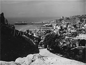 Musto: HASTINGS VIEW MUSTO