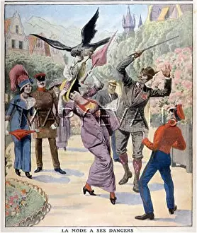 Intervenes: HAT ATTACKED BY A HAWK