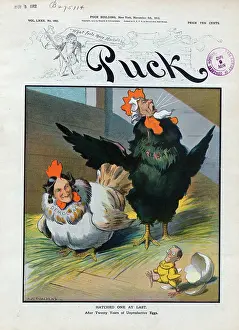 Hatched: Hatched one at last