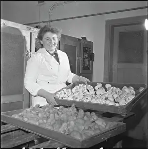 Ludmila: Hatchery, hatching, ducklings, ducklings