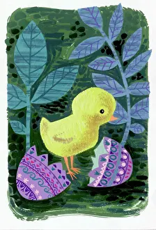 Halves: Hatching Chick