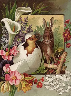 Hatching: Hatching Chick and Easter Bunny