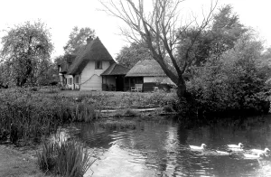 Clipped: Hatfield Heath, the Clipped Hedge Tea-Rooms c1960