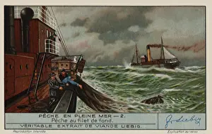 Hauling: Hauling In Catch