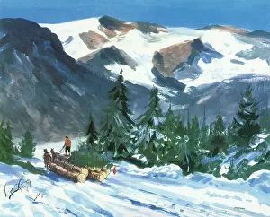 Towering: Hauling a Christmas Tree