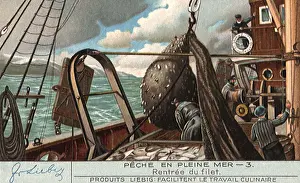 Hauling: Hauling In Net of Fish
