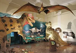Anrather: Haus der Natur