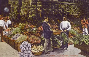 Coconuts: Havana, Cuba - Fruit Stand
