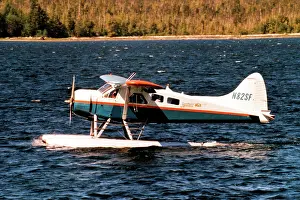 Beaver: de Havilland Canada DHC-2 Beaver N82SF