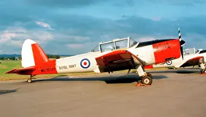 Chipmunk: de Havilland Canada DHC.1 Chipmunk T.10 WP856 / 904