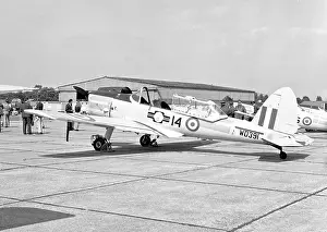 Chipmunk: de Havilland Chipmunk T.10 WD391