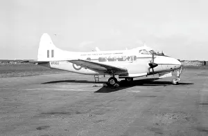 Dh.104: de Havilland Devon C.2 VP960
