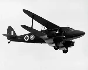 Secondflight: De Havilland DH 86 Dragon Express -typifying the numero