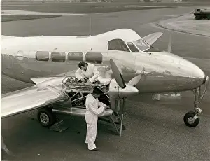 Dh104: de Havilland DH104 Dove 8