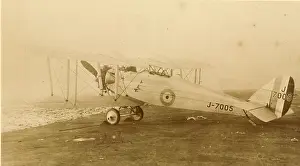 Dormouse: de Havilland DH42 Dormouse J7005