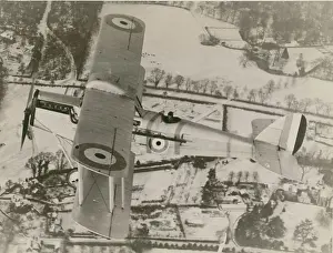 Dh50: de Havilland DH50
