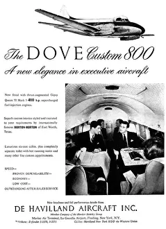 Custom: De Havilland Dove Custom 800