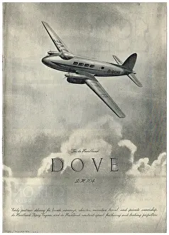 Dh104: De Havilland Dove DH104