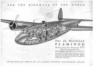 Dh95: De Havilland Flamingo: DH95