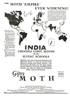 Widening: The De Havilland Moth Empire Ever Widening