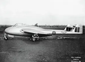 Drover: de Havilland Sea Vampire