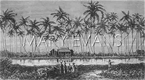 Waikiki: HAWAII/WAIKIKI C1870