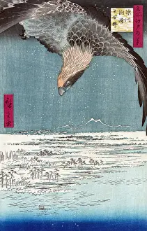 Accipitridae: Hawk Flaying Over Snowy Landscape, 1857
