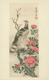 Soga: Hawk with Peonies by Soga Shohaku